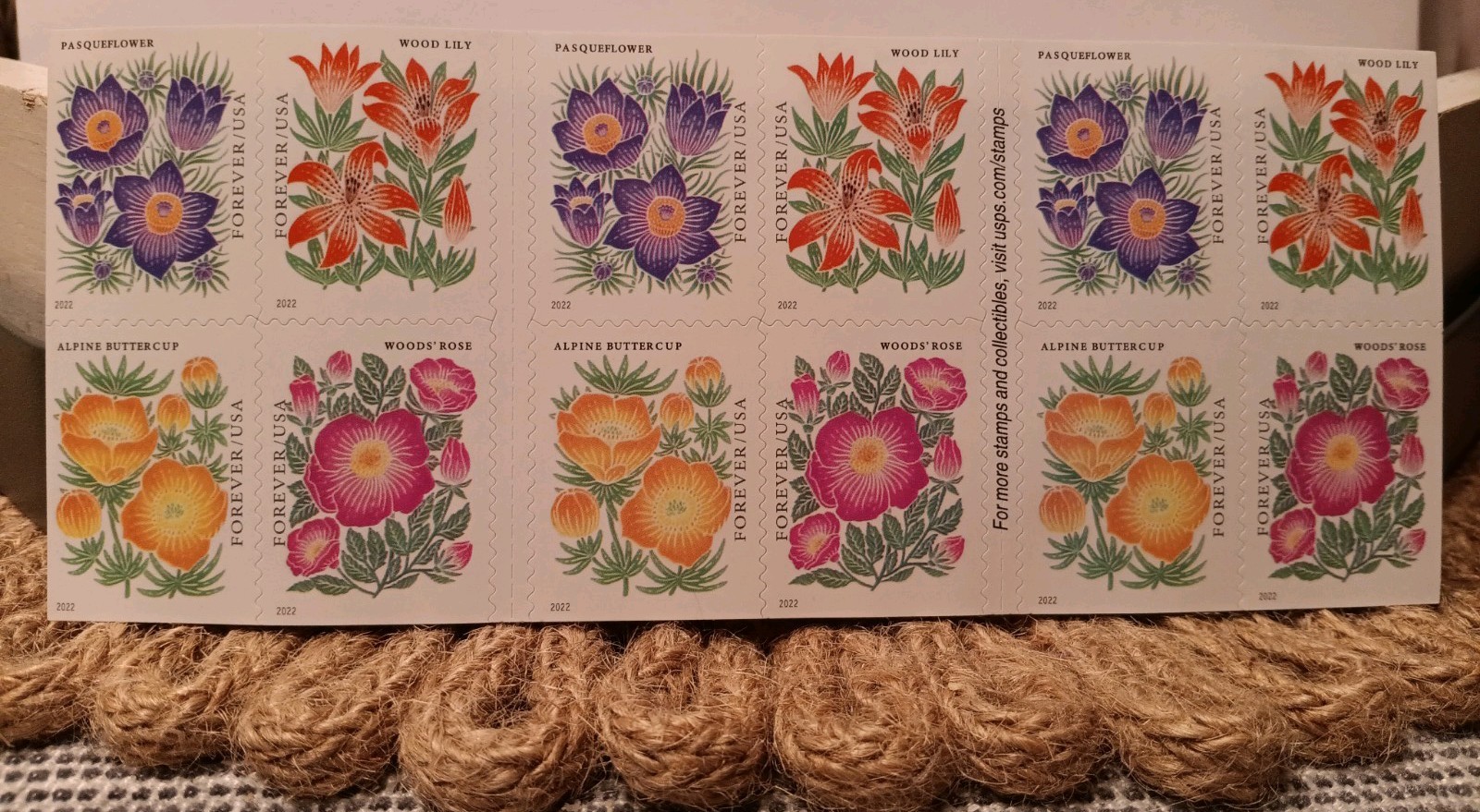 1 Book Of 20 First-Class Forever Stamps ~ Mountain Flora