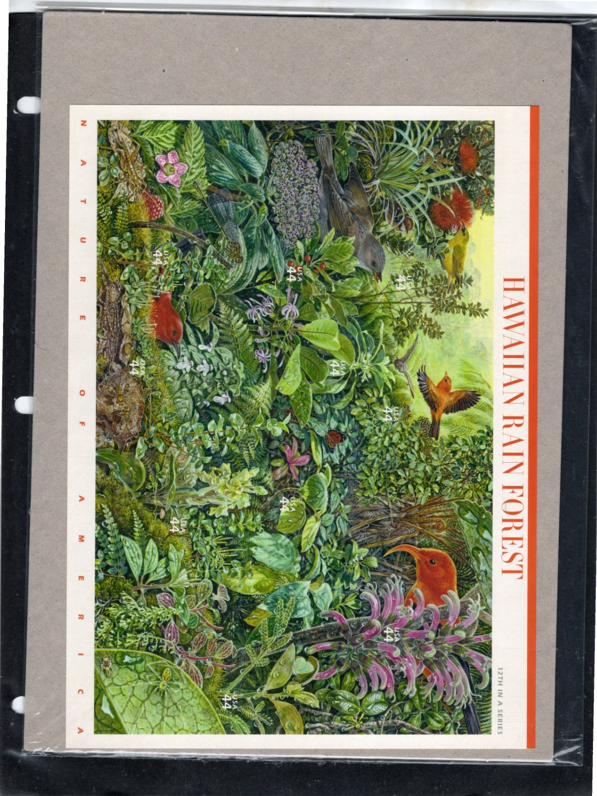Complete Set of 12 NATURE OF AMERICA Sheets US Postage Stamps USA