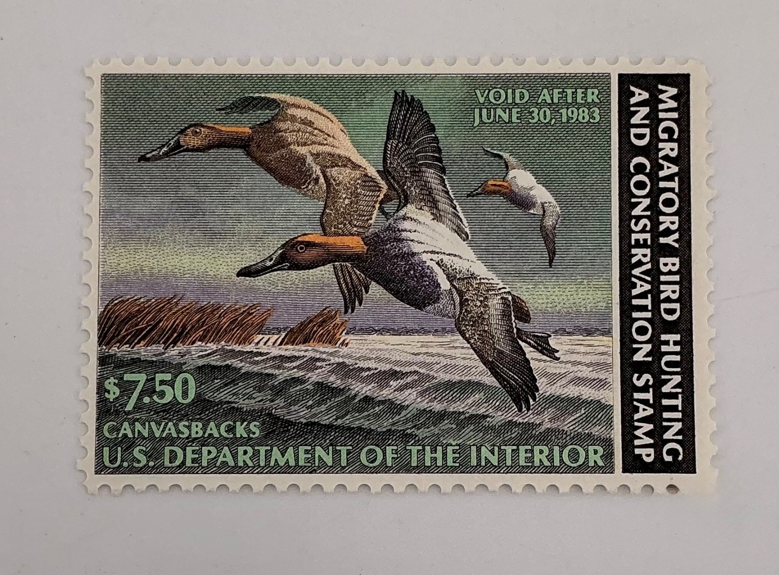 1982 US Federal Scott #RW49 Canvasbacks MNH
