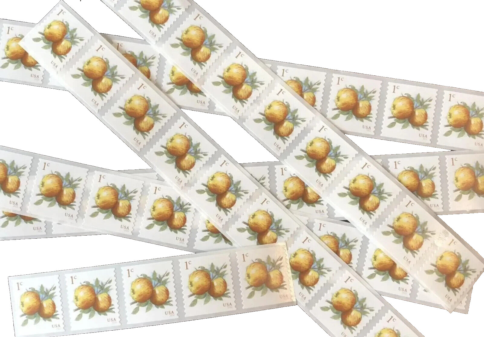 APPLES – 2016 – Packet of fifteen 1cent (1c) Postage Stamps – Scott #5037