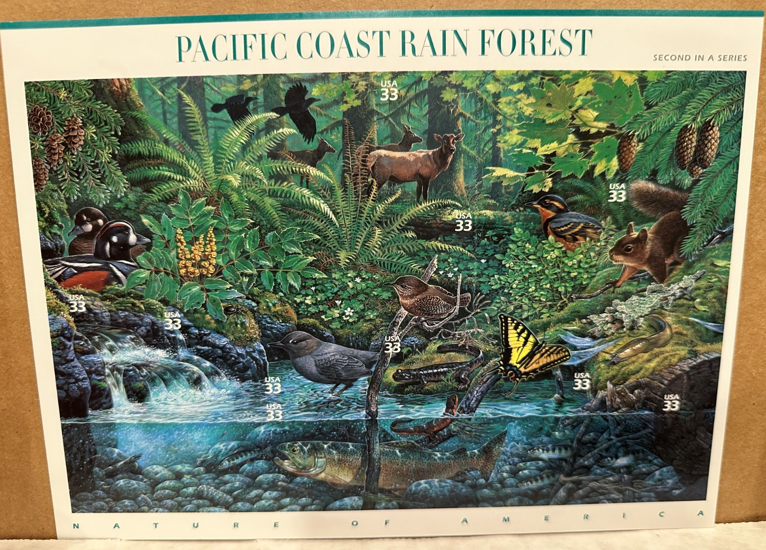 United States 33¢ Pacific Coast Rain Forest Nature Series #3378 MNH Full Sheet