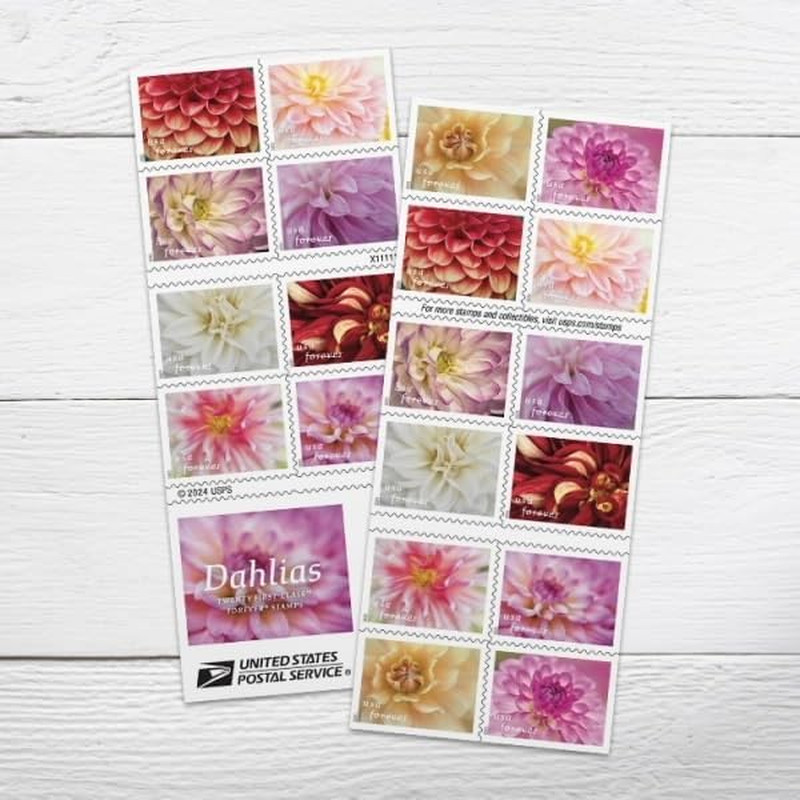 Dahlia 2025 First-Class Forever Postage Stamps Book of 20