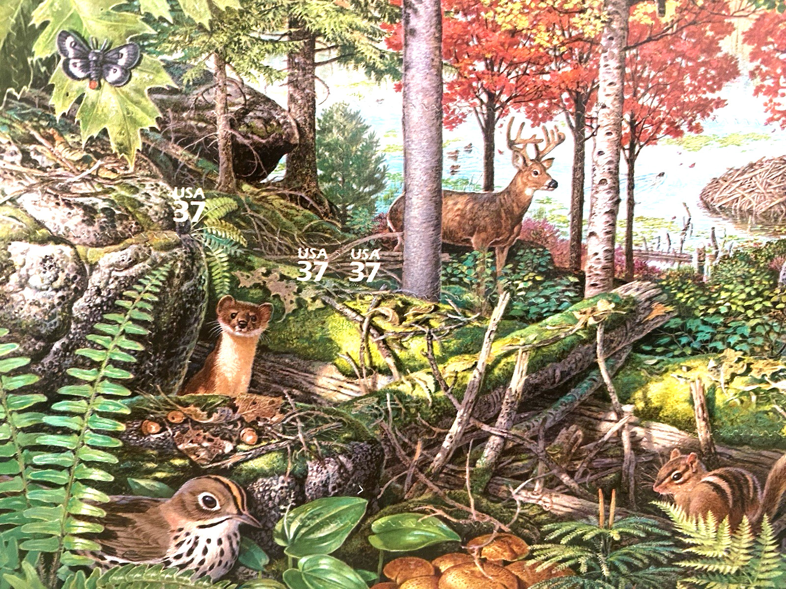 United States 37¢ Northeast Deciduous Forest Nature Series #3899 MNH Full Sheet