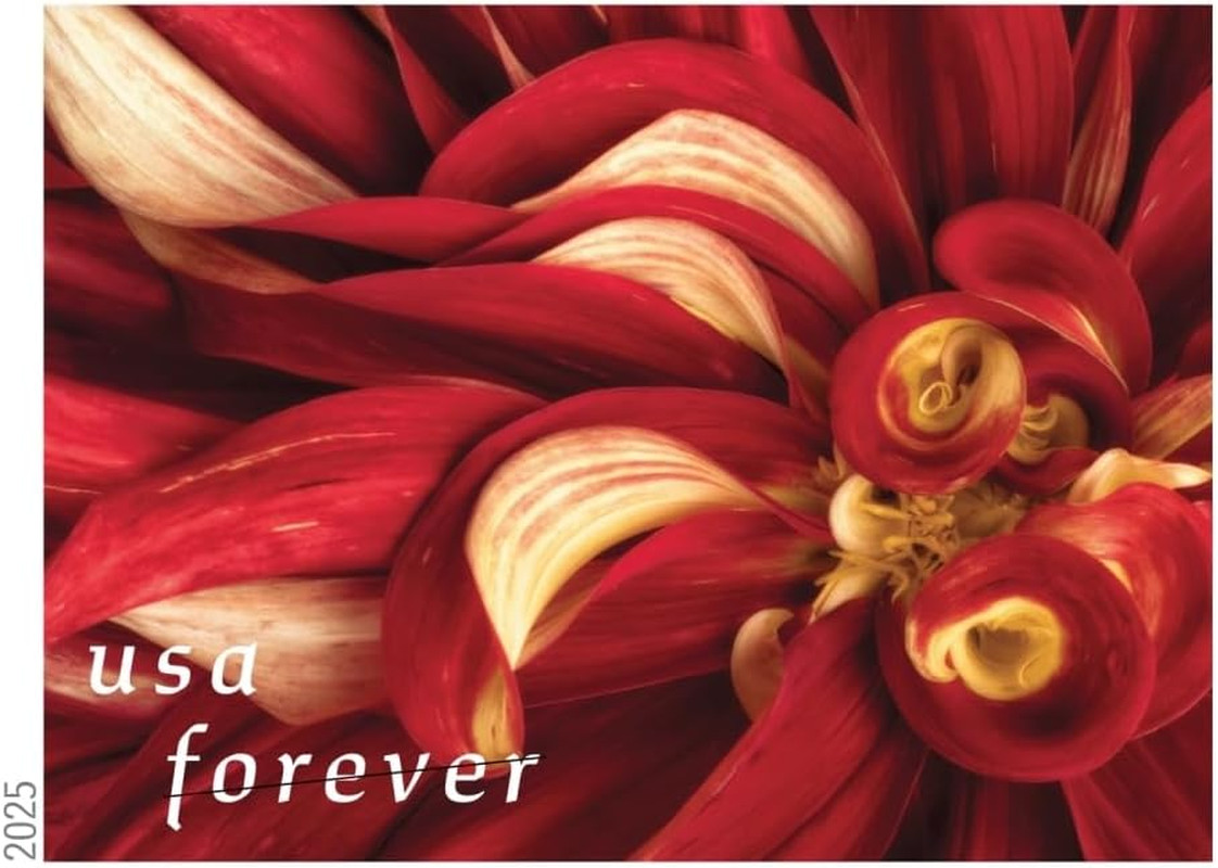 Dahlias 2025 (Book of 20) First-Class Mail Forever Postage Stamps
