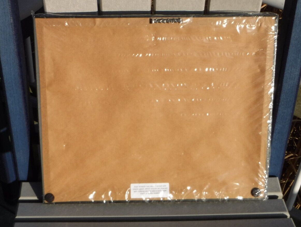 New USPS Women’s Rowing Framed Stamp & Art