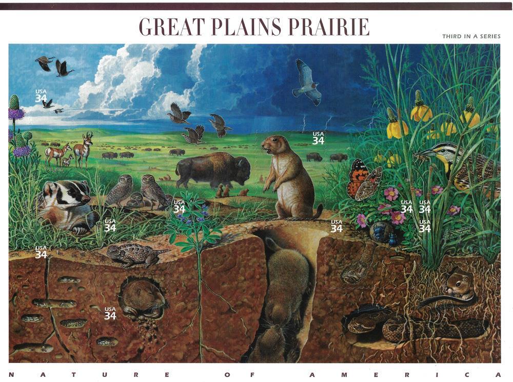 US SCOTT 3506 PANE OF 10 GREAT PLAINS PRAIRIE 34 CENT FACE MNH 3RD IN SERIES