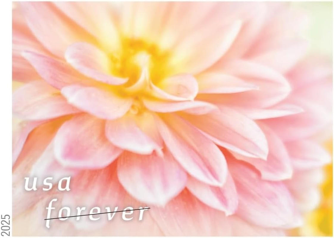 Dahlias 2025 (Book of 20) First-Class Mail Forever Postage Stamps