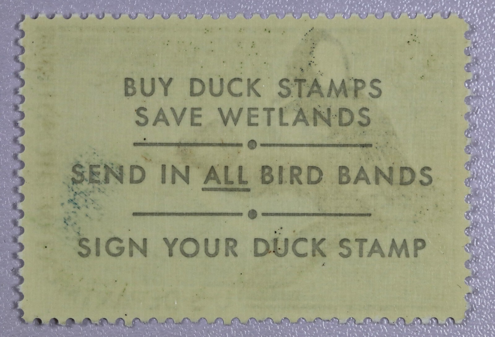 STAMP US DUCK SCOTT RW35 “Hooded Mergansers” 1968 Superb, NH OG