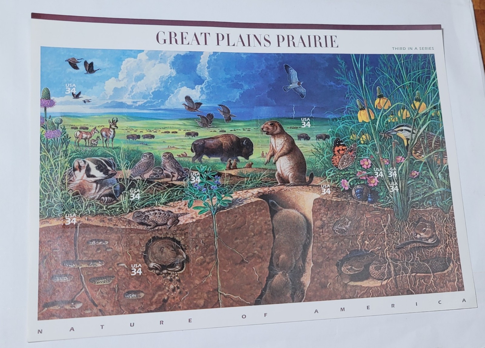 Great Plains Prairie Commemorative – US #3506 Full Mint Sheet – 34 cents MNH