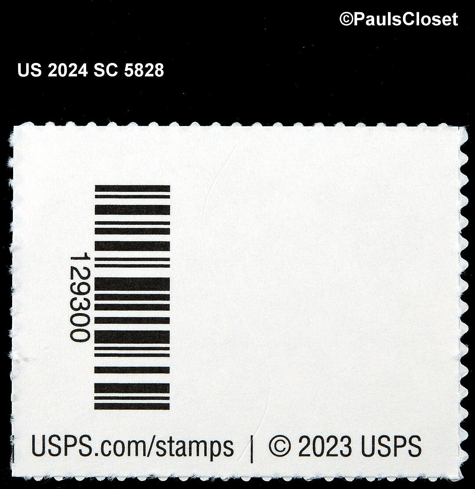 US 2024 SC 5828 COSMIC CLIFFS $30.45 MINT NEVER HINGED SELF-AD VERY FINE