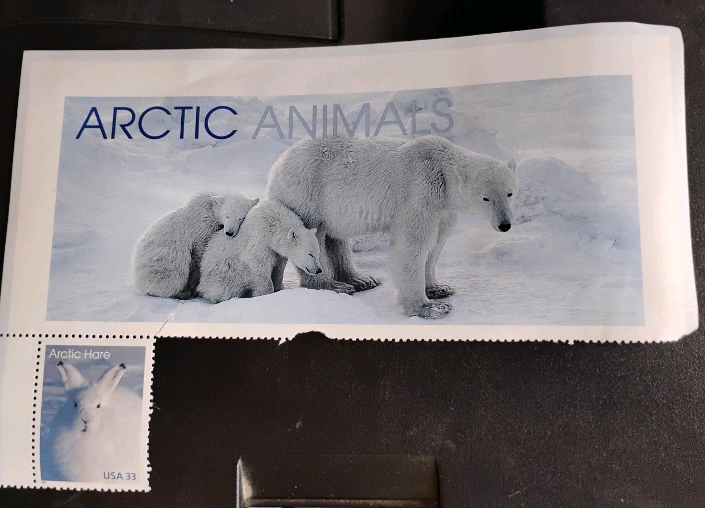 USPS Vintage Stamp “Artic Hare” 1998. FREE DELIVERY TO YOU