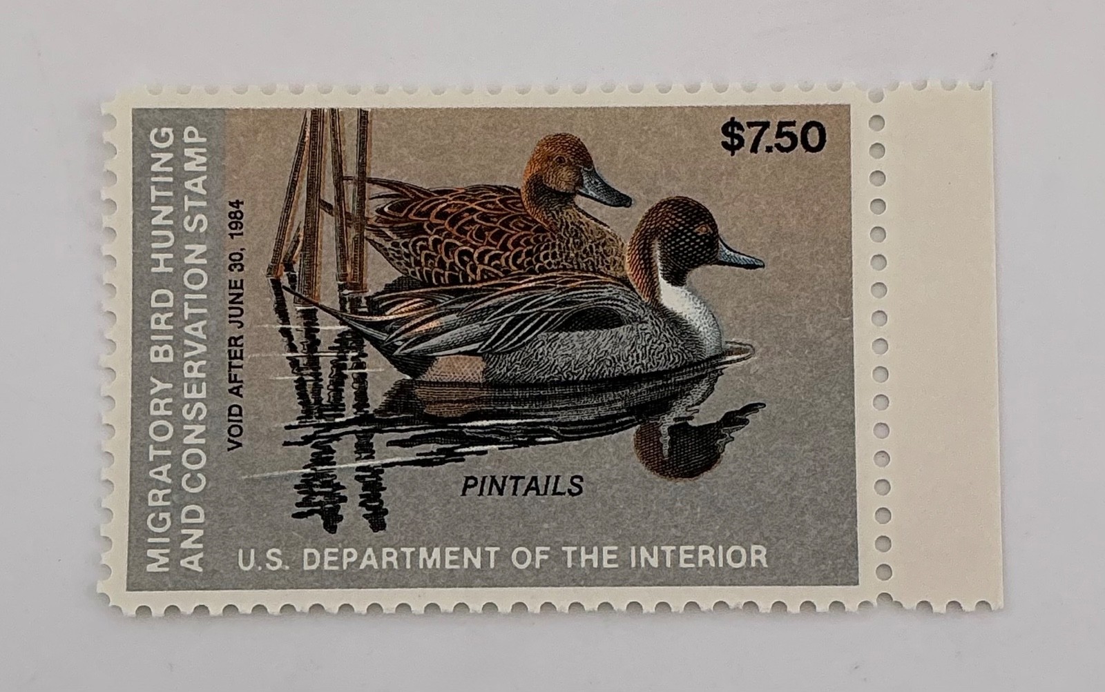 1983 US Federal Scott #RW50 Pintails MNH