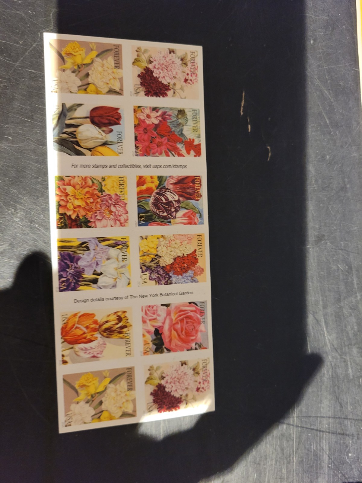 Usps Botanical Art Forever Stamps 2015 Sheet Of 20 MNH