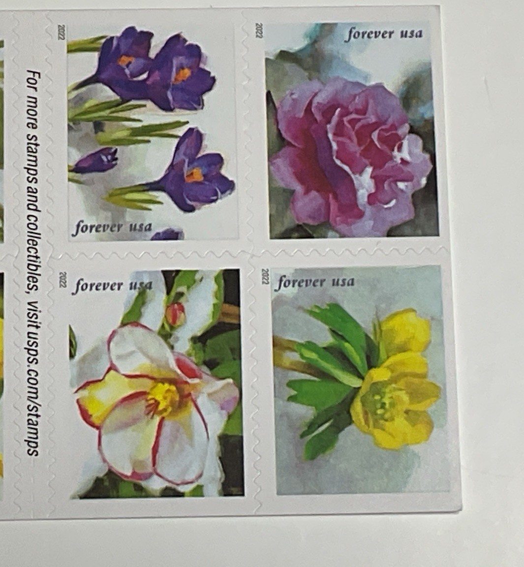 New AUTHENTIC USPS Snowy Beauty Flowers Book of 20 Forever Postage Stamps