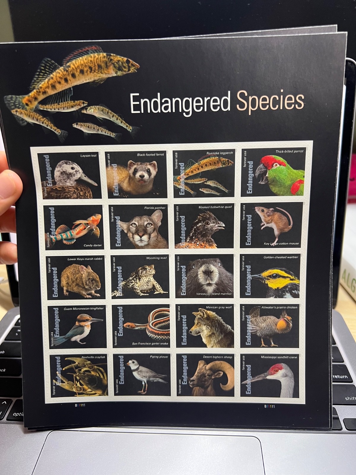 US SCOTT 5799 SHEET OF 20 ENDANGERED SPECIES FOREVER STAMPS MNH