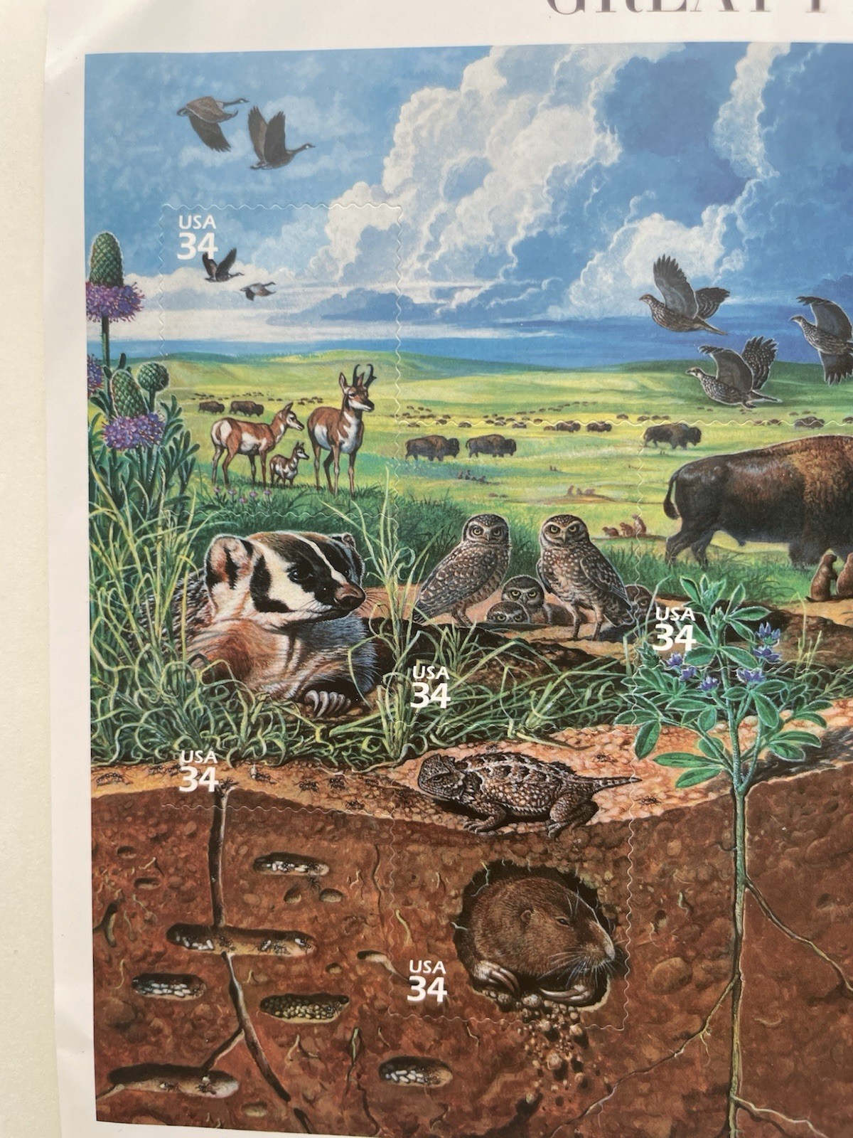 USA 34 Cent Nature of America: Great Plains Prairie Postage Stamps, Sheet of 25
