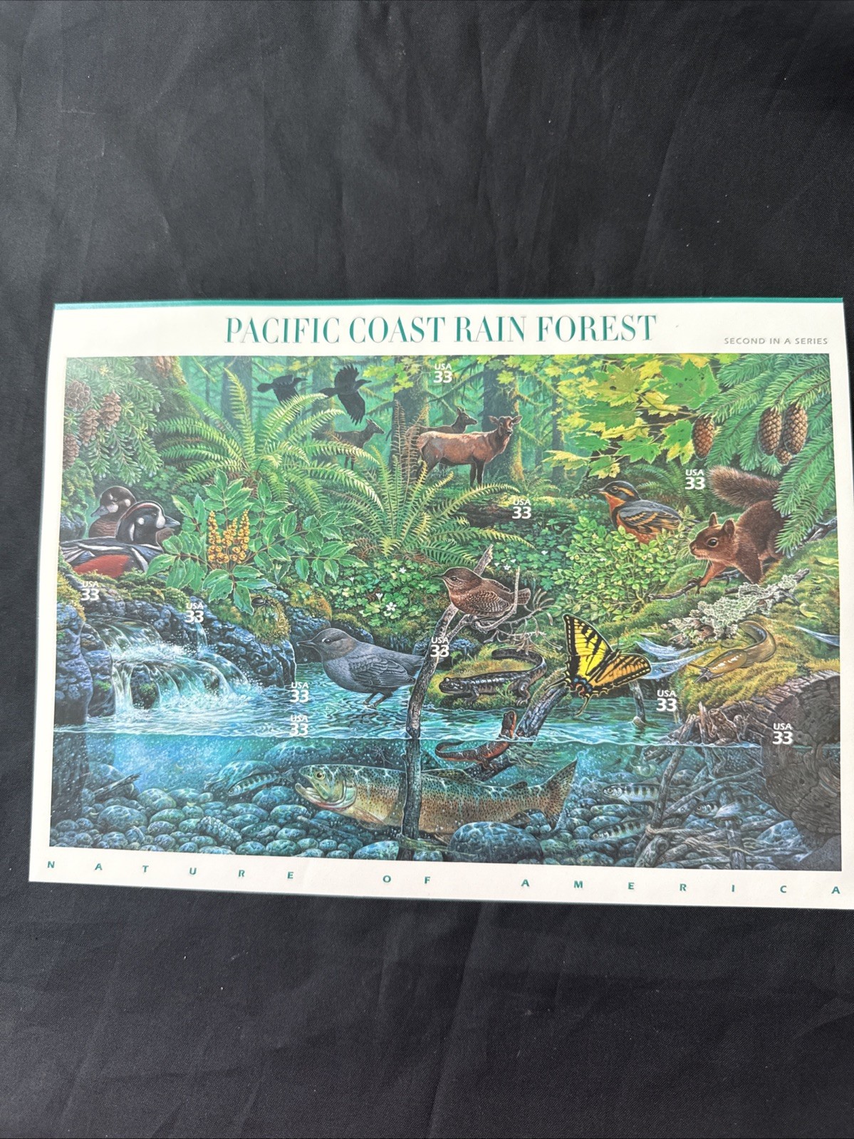 United States 33¢ Pacific Coast Rain Forest Nature Series #3378 MNH Full Sheet
