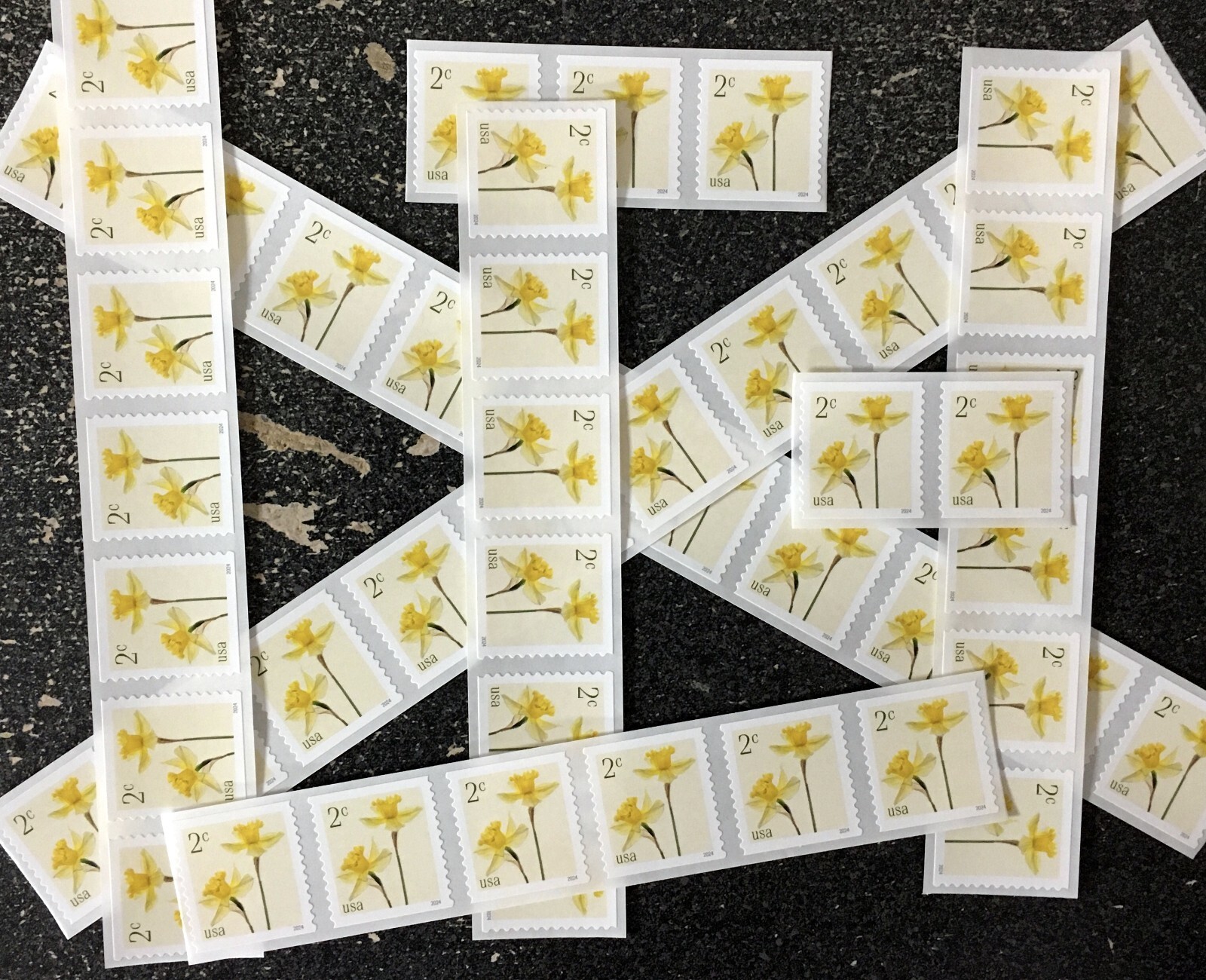 2024USA #5903 2c Daffodils Coil Various Length Strips (50) wedding flower