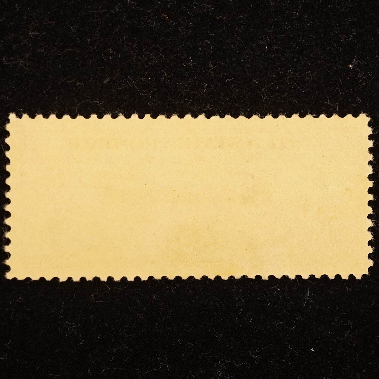 US Scott #C18 50c Century of Progress Zeppelin Stamp, MNH – Free Shipping USA