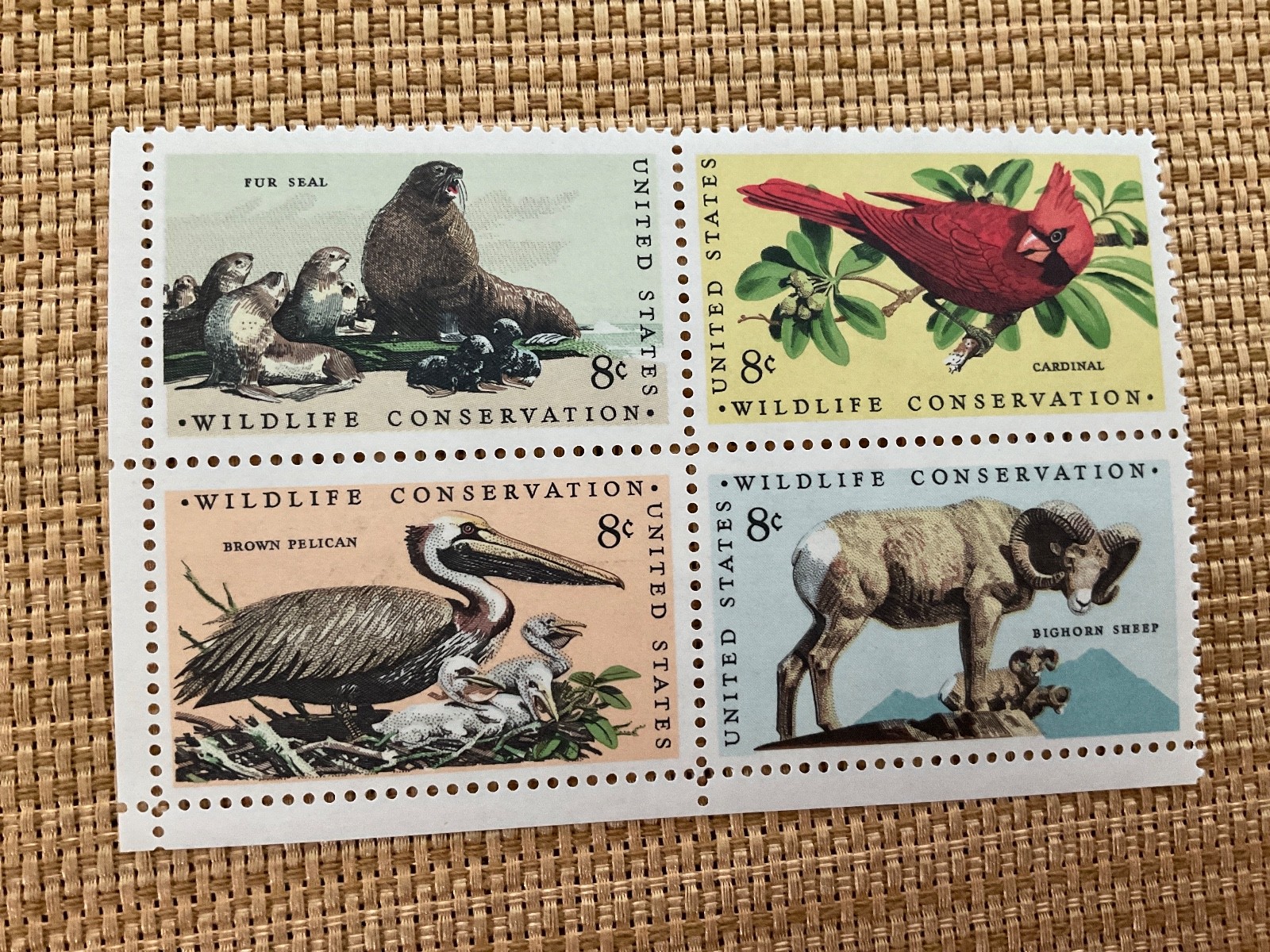 Wildlife Conservation from 1972