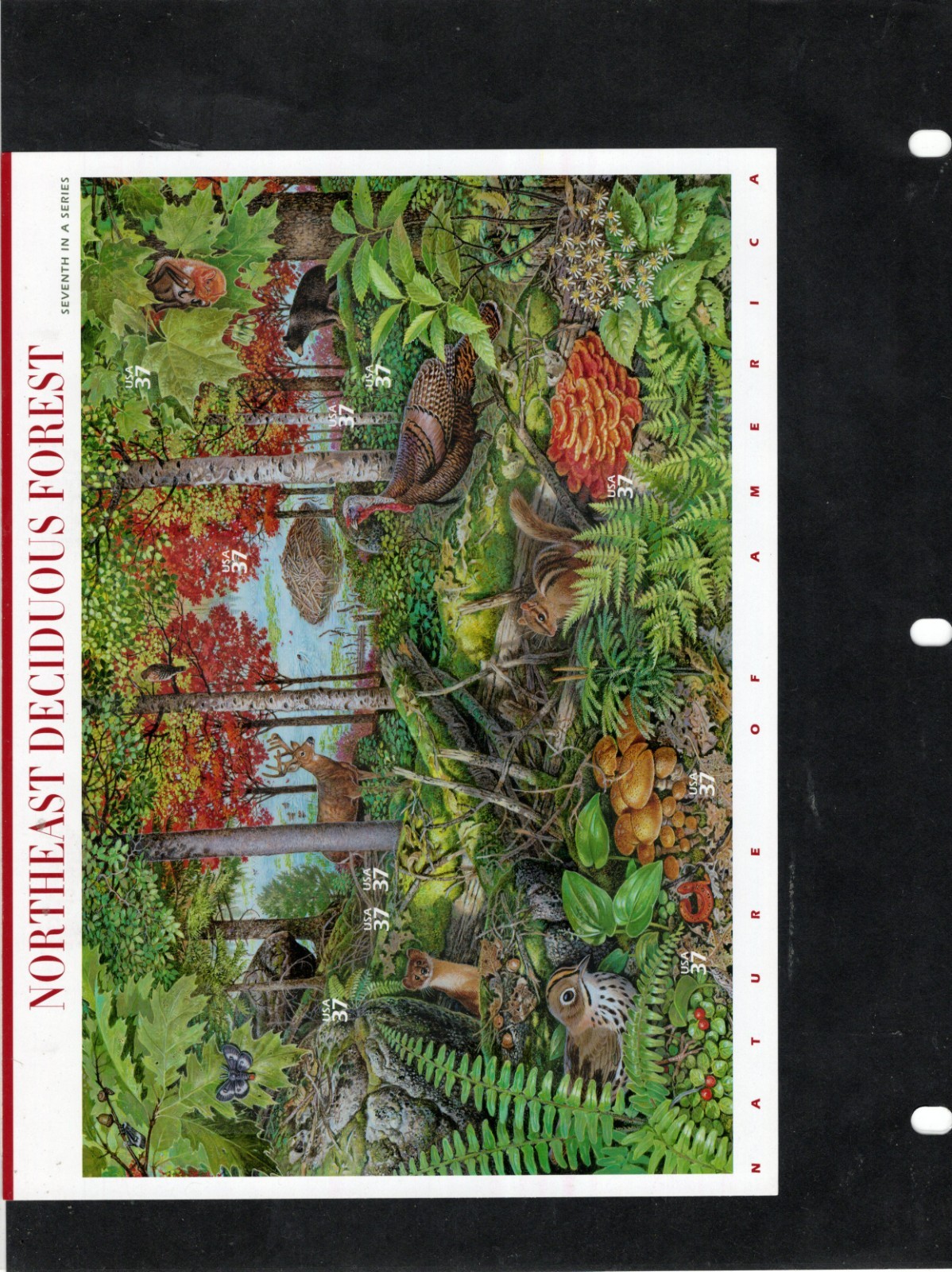 Complete Set of 12 NATURE OF AMERICA Sheets US Postage Stamps USA
