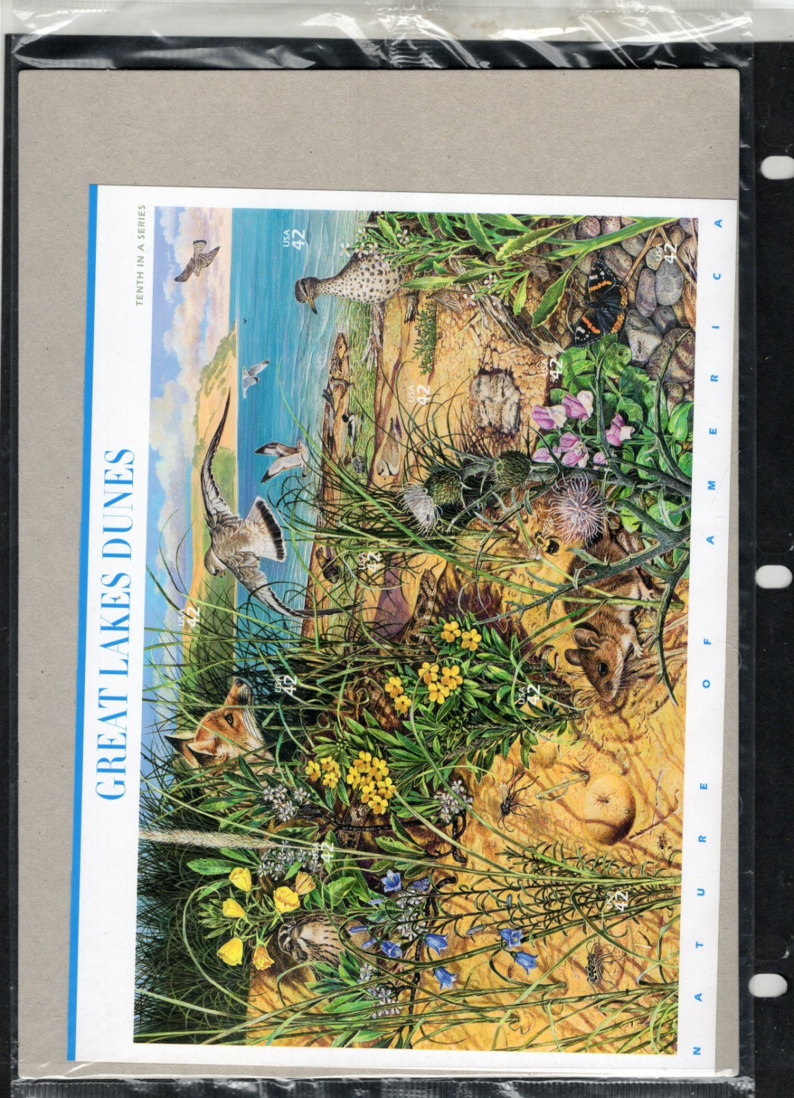 Complete Set of 12 NATURE OF AMERICA Sheets US Postage Stamps USA