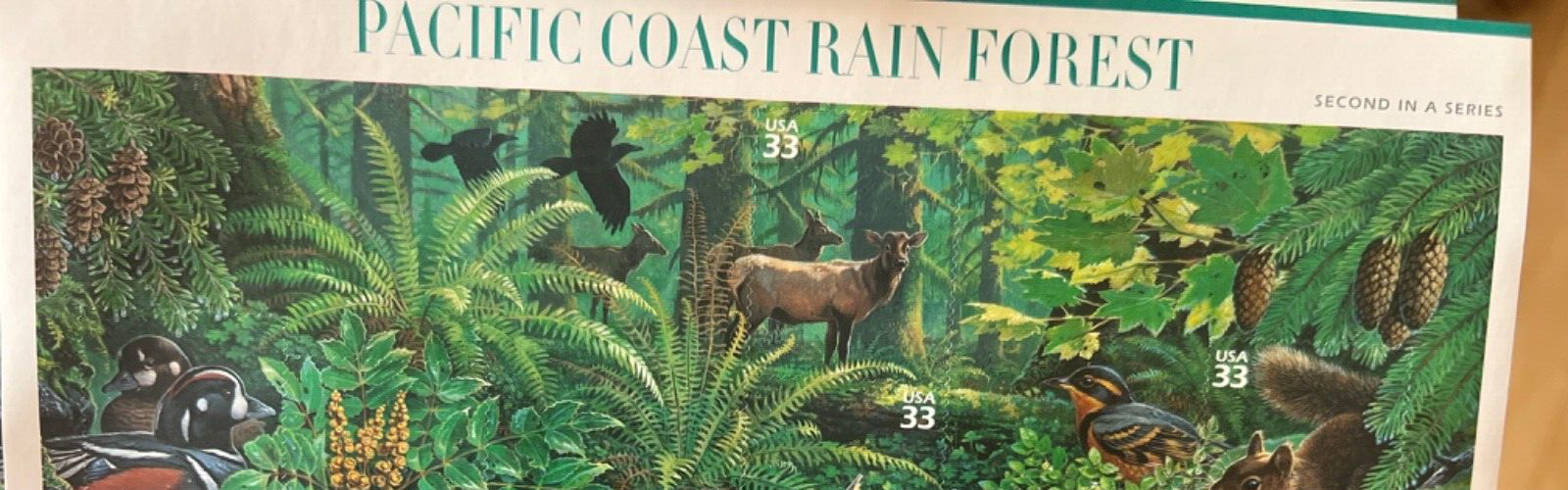 See Photos. US stamps. SCOTT # 3378 – PACIFIC COAST RAIN FOREST – PANE OF 10