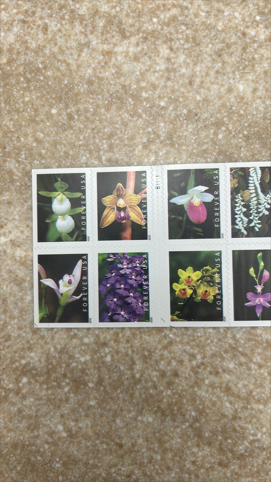 100 USPS Wild Orchids Forever Stamps 2019 Scott #5457 Mint NH