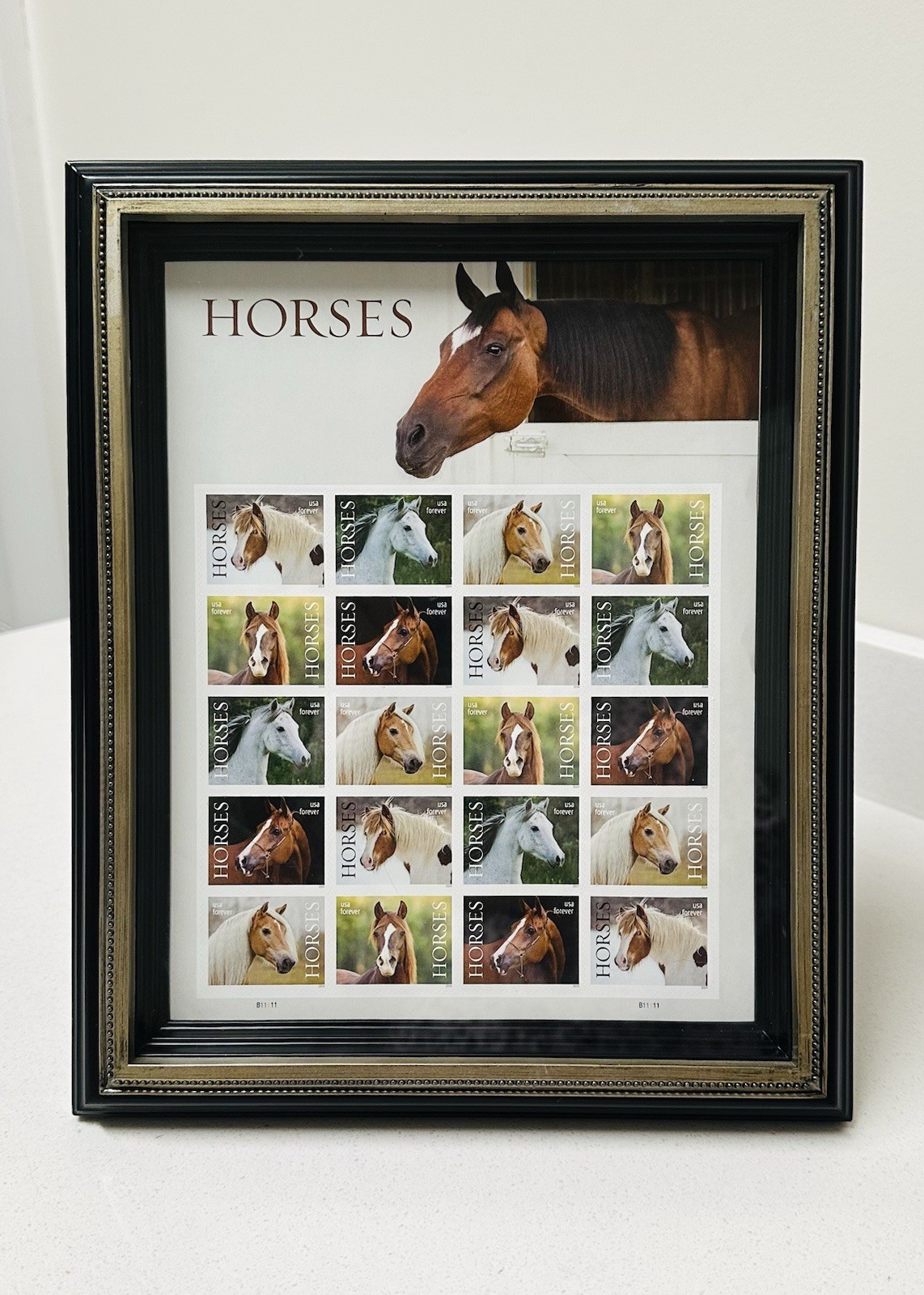 Horses USPS Forever Postage Stamp 1 Book of 20 & 8×10 Picture Frame (CUPECOY)