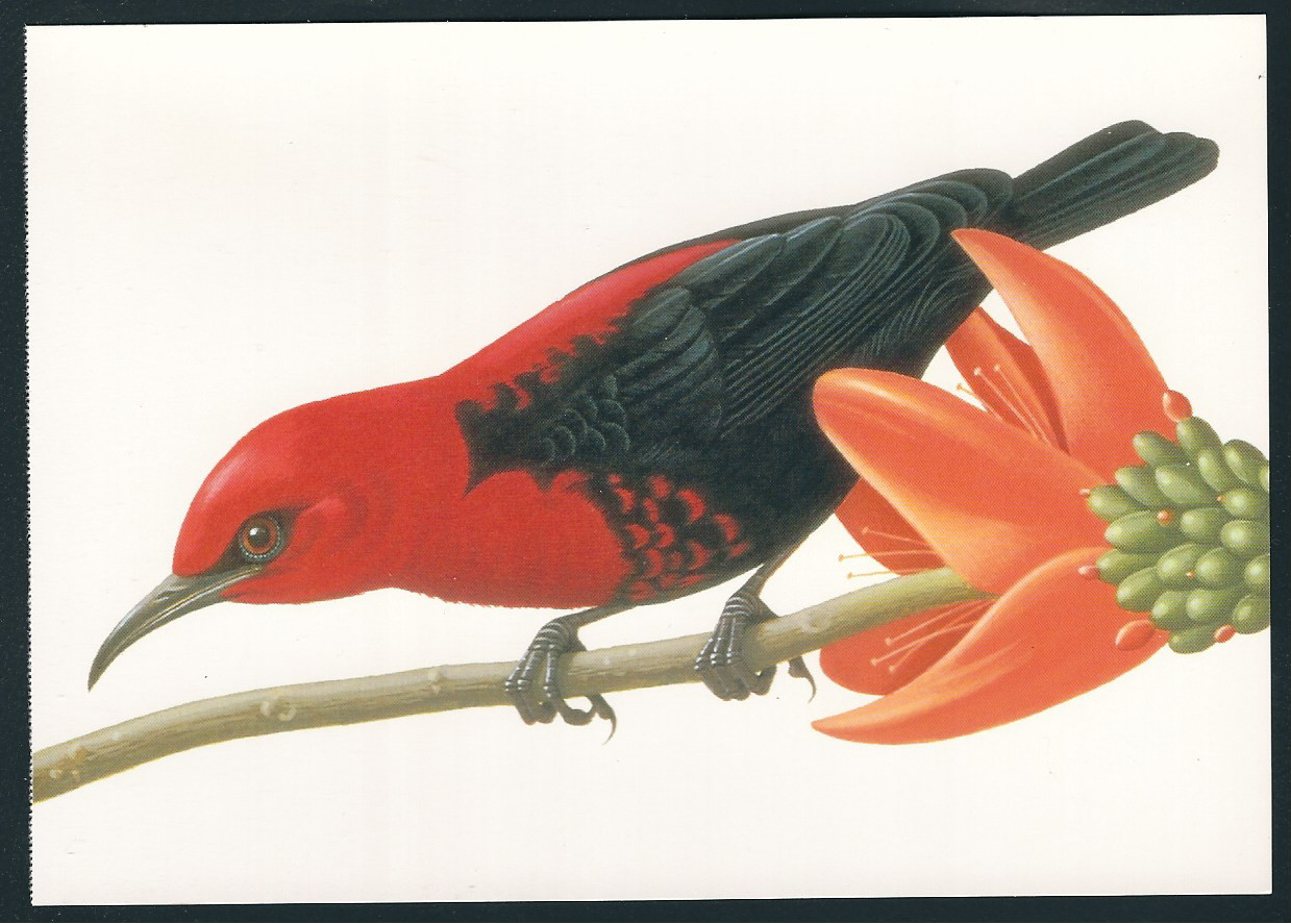 1997…20 Cent…Cardinal…2 Postcards