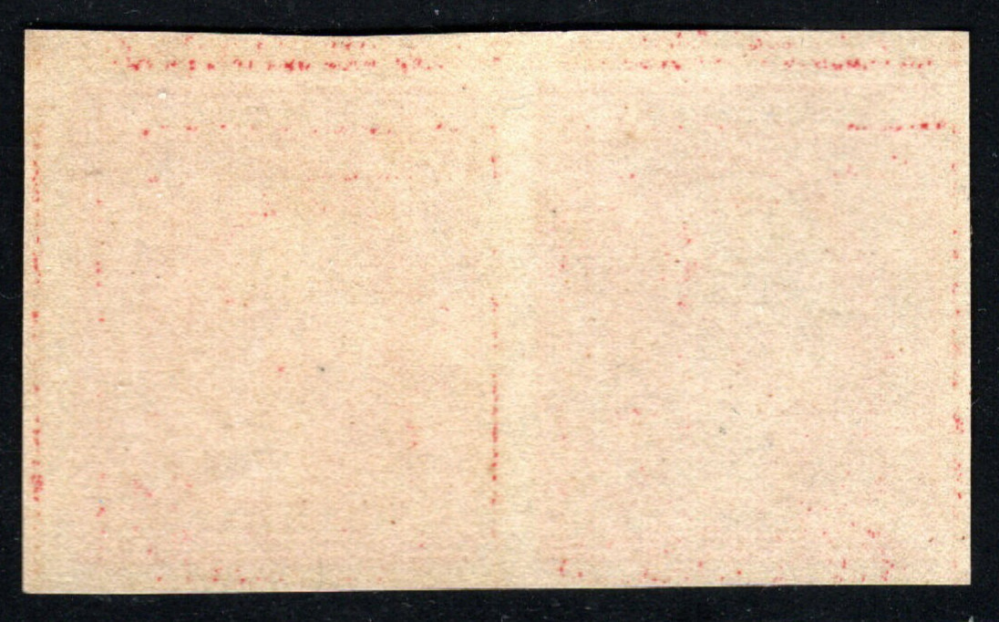 US Stamps – (circa 1920s) – 2¢ carmine George Washington Imperf Pair MNH OG