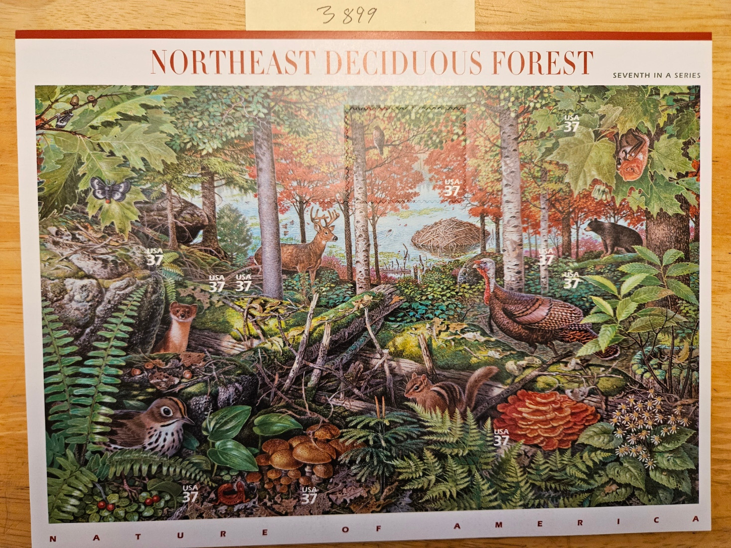 SCOTT #3899 Sheet of 10 NE Deciduous Forest STAMPS 37¢ MNH Face Value $3.70