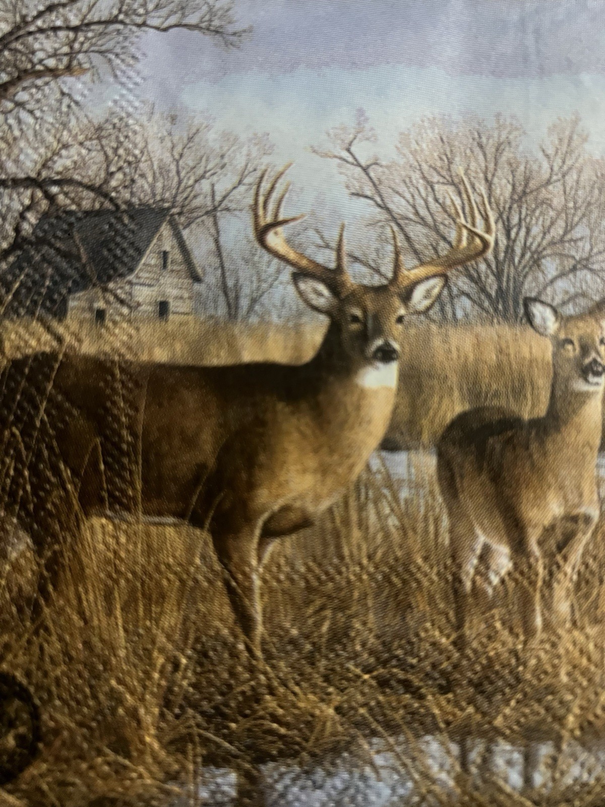 TWO Individual Decoupage Craft napkins Beverage Deer Field/Barn/autumn/Fall 5”