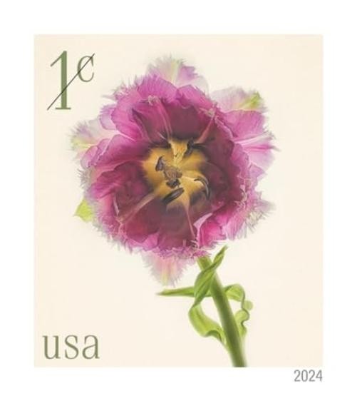 Fringed Tulip 2024 1-Cent () Denominated Mail-Use Additional Strip of 100