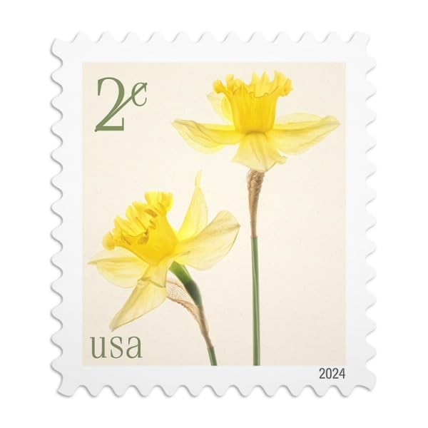 Daffodils 2024 2-Cent (Sheet of 20) Denominated Mail-Use Additional 20 Stamps