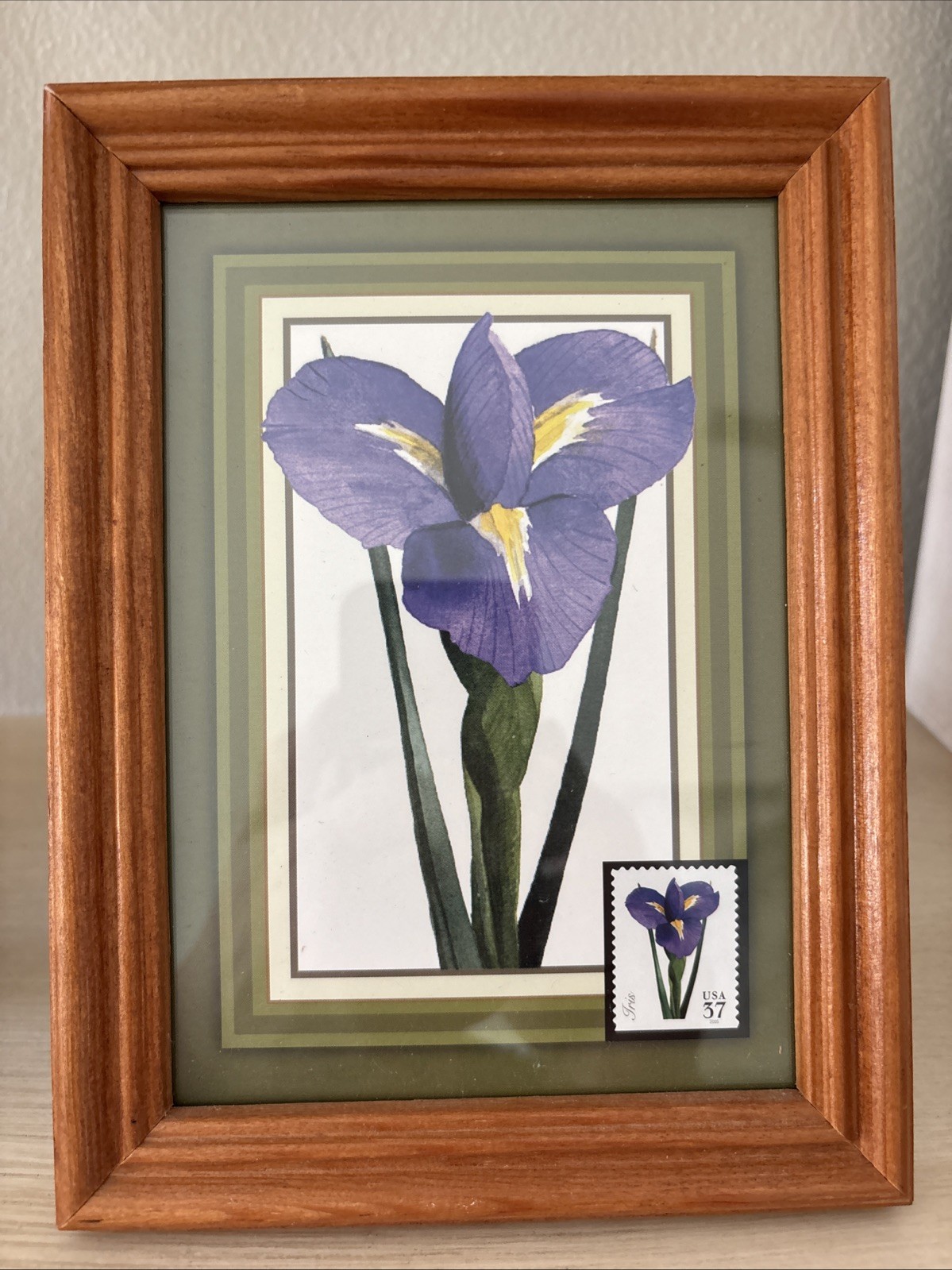 Postal Stamp Art Blue hyacinth and Purple iris 8 X 6 Framed Set Of 2
