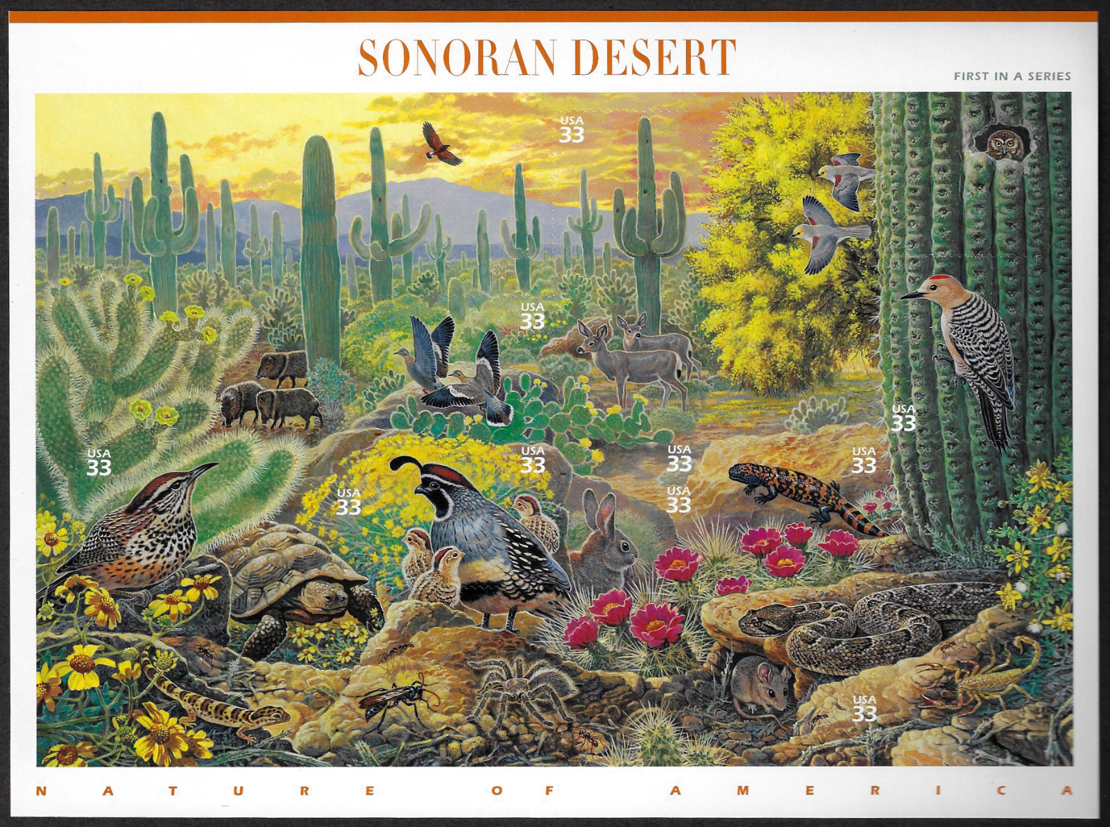 US Stamps, Full Pane of 10, Sonoran Desert, #3293, MNH