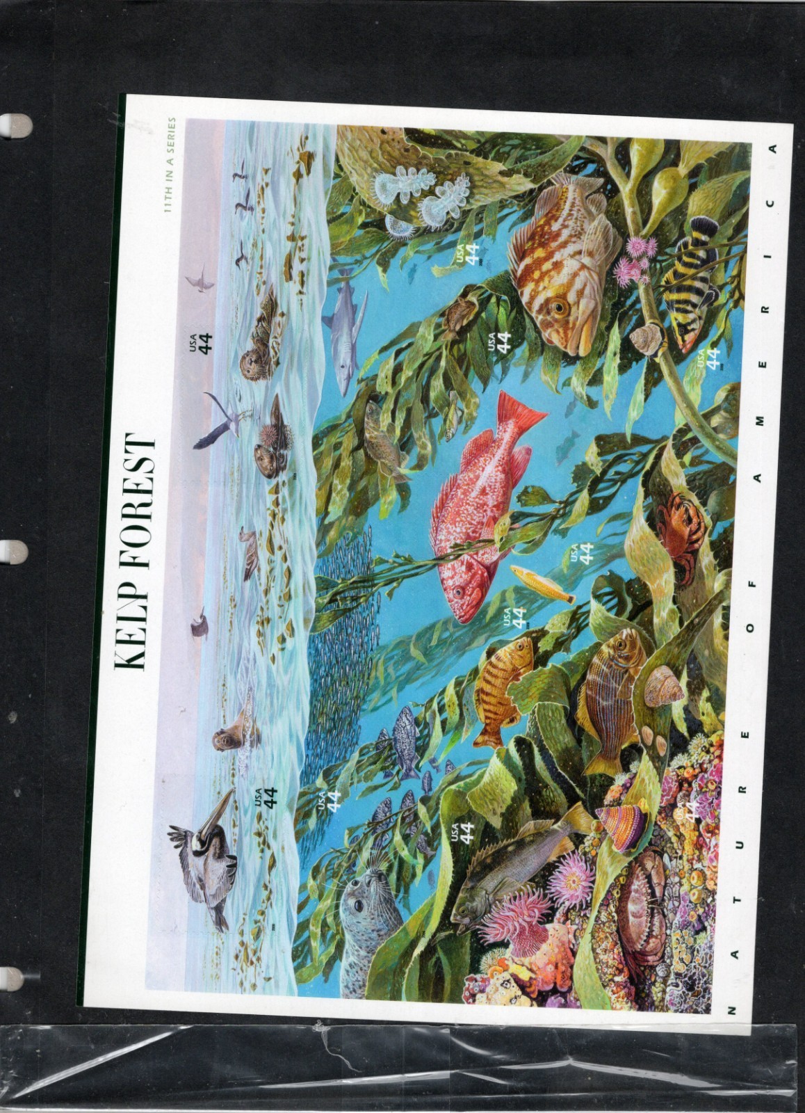 Complete Set of 12 NATURE OF AMERICA Sheets US Postage Stamps USA