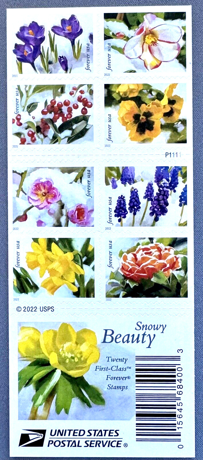 SoCo Stamps US Sc #5727-5736b BOOKLET OF 20 SNOWY BEAUTY MNH Forever