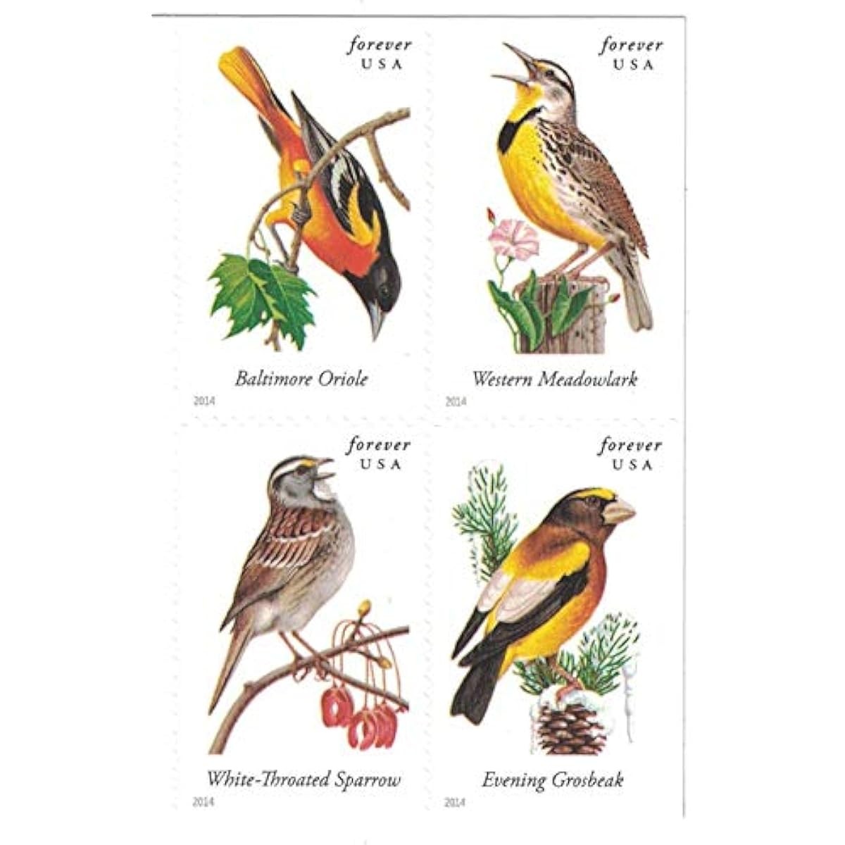 Songbirds Forever Stamps Sc#4891b MNH Full 5 Booklet Pane of 20 Mint ,100 total