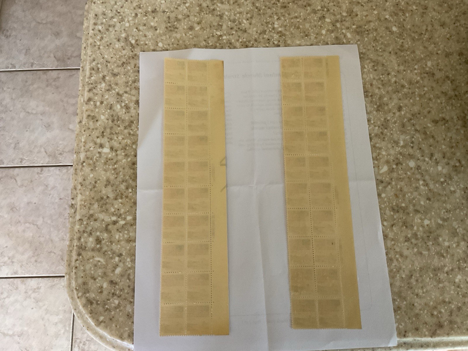 2- Rare Vintage 1981 American Flag MISTAKE STAMPS .19 Cents Two Strips 40 Stamps