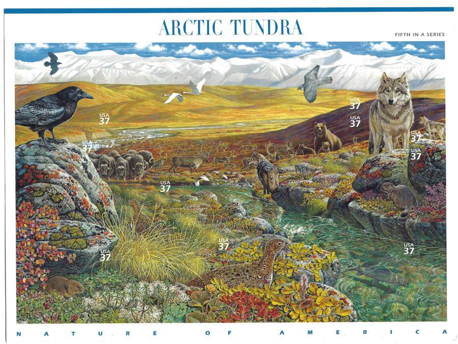 US SCOTT 3802 PANE OF 10 ARCTIC TUNDRA 37 CENTS FACE MNH 5TH IN SERIES