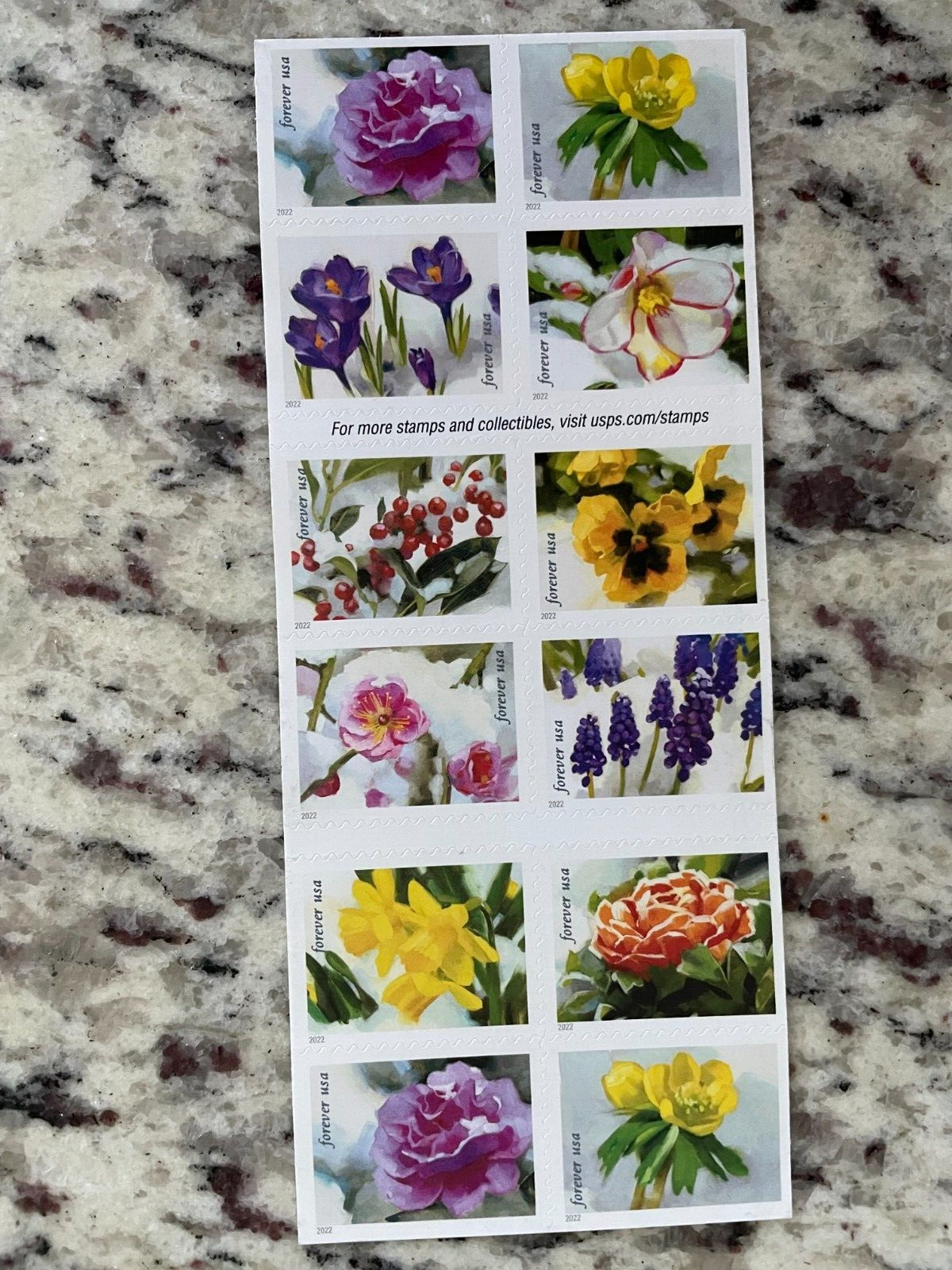 2022 Snowy Beauty Winter Flower Booklet of 20 Mint