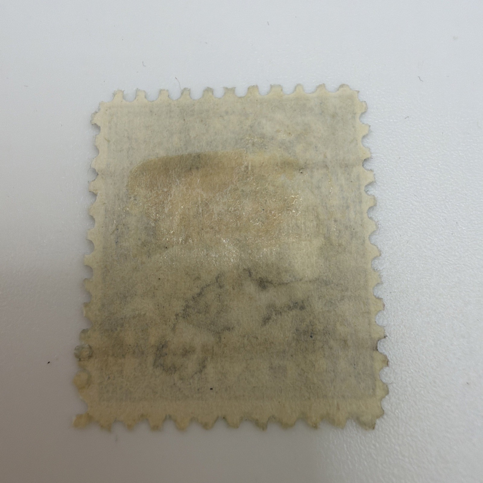 1923 American Indian 14c Stamp cancelled Jacksonville FL #565 MH