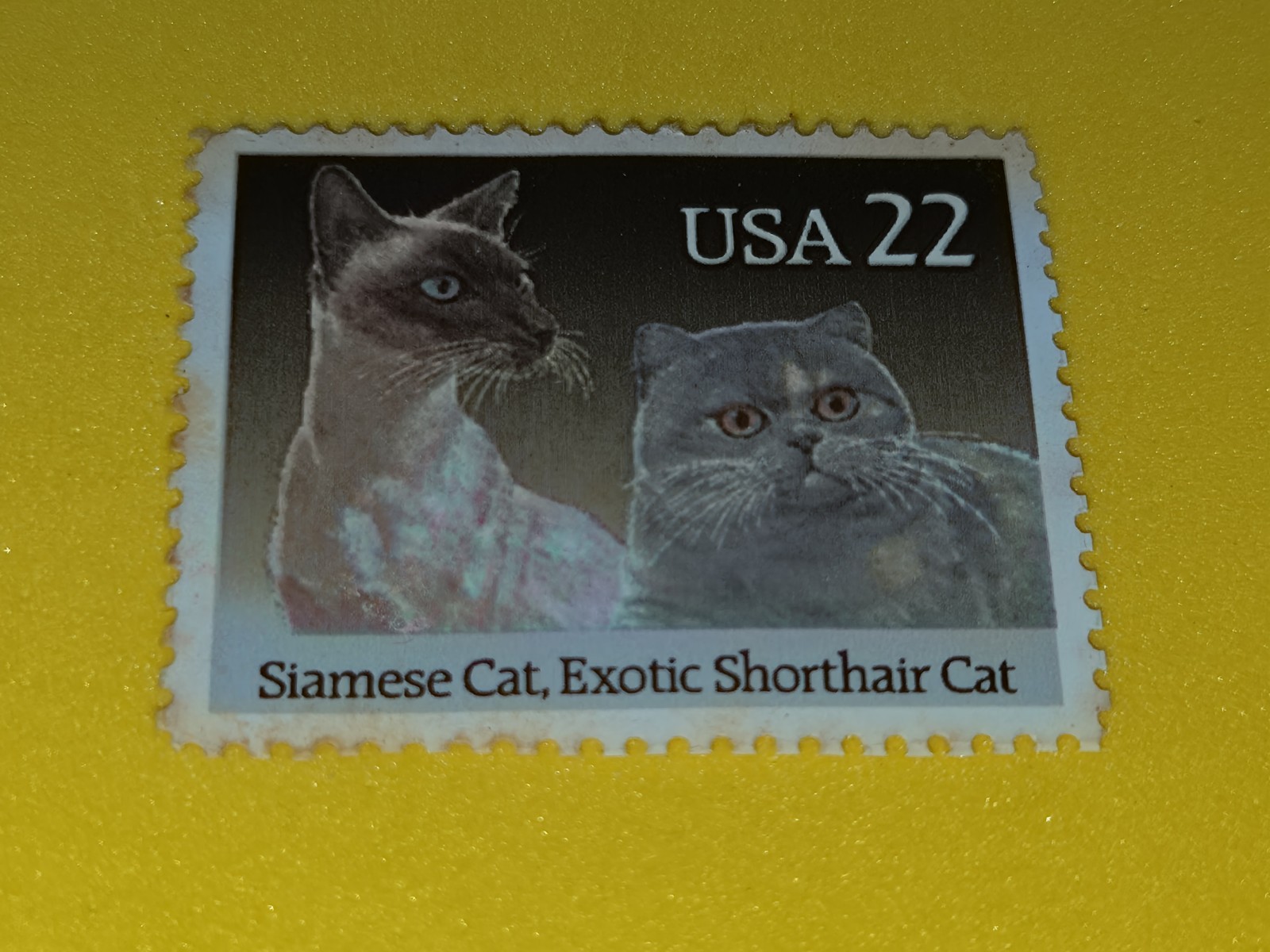 1987 US Postage Siamese Cat, Exotic Shorthair Cat. 22 cents, Unused