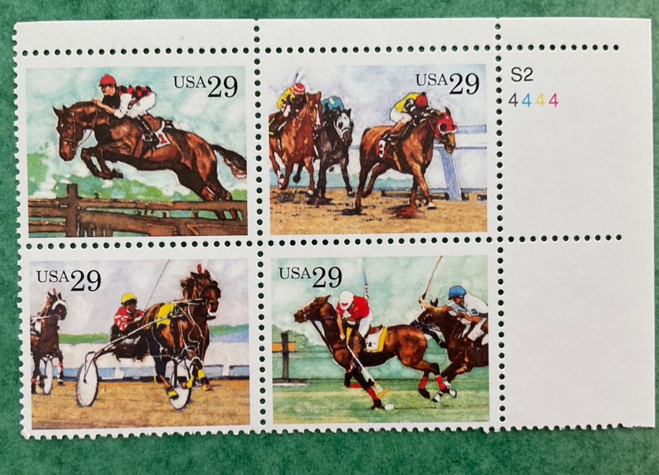 Sporting Horses