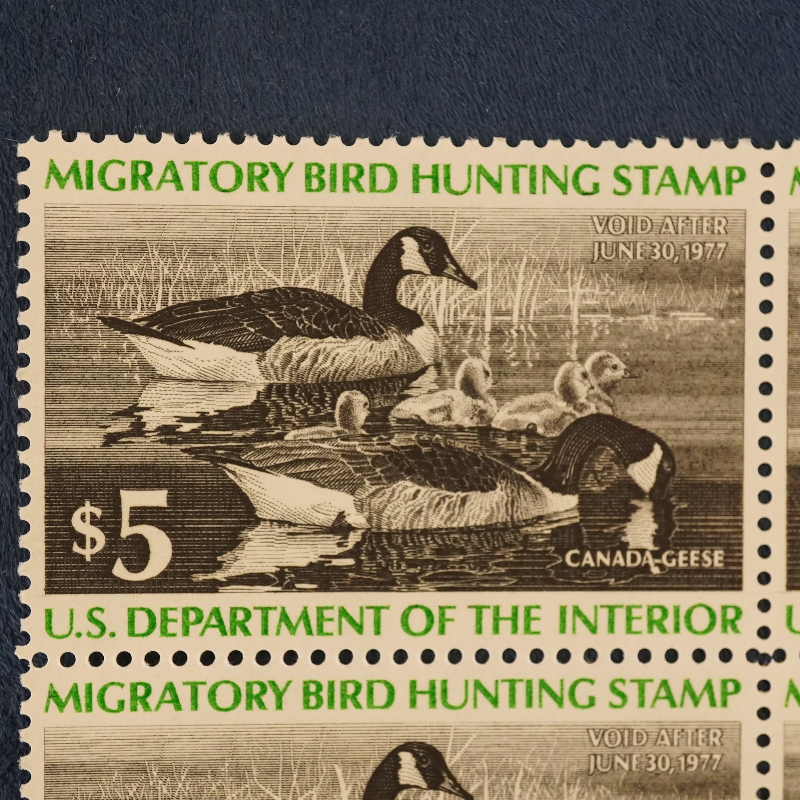 1976 U.S. $5 Federal Duck Stamp Mint Plate Block of 4, MNH, Canada Geese RW43