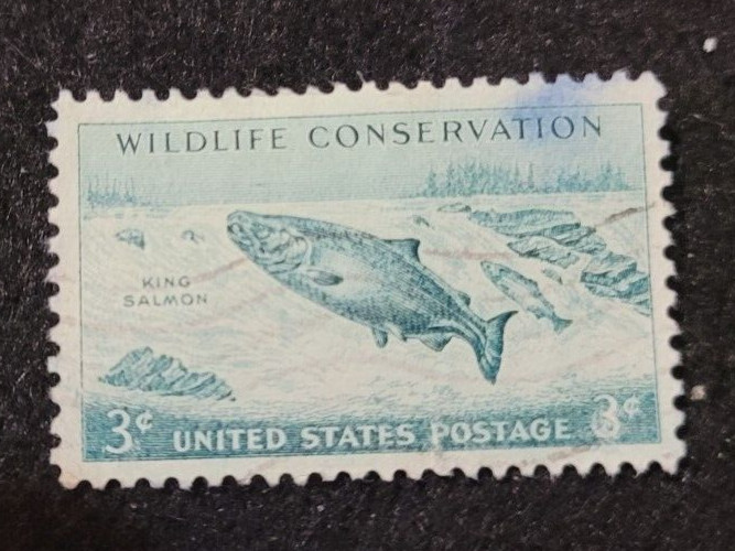 # 1079 – 1956 3¢ King Salmon Wildlife Conservation Used 1 Stamp + 2 FREE Stamps
