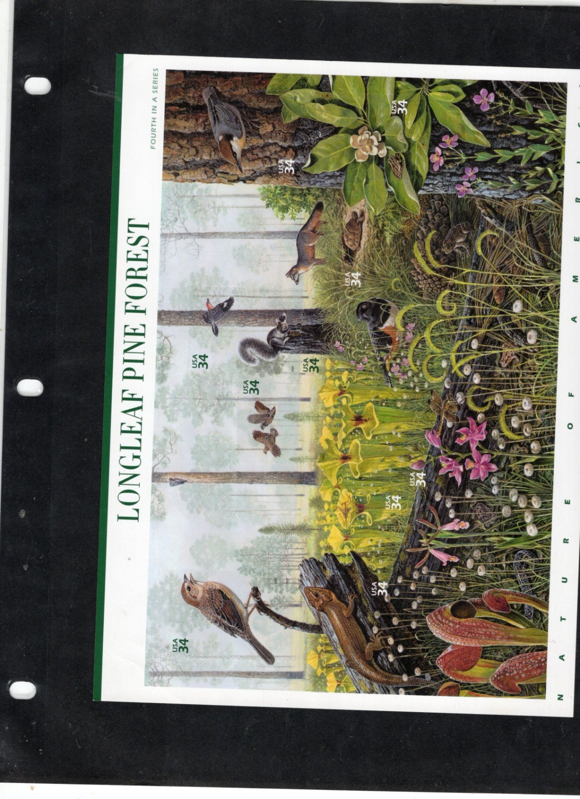 Complete Set of 12 NATURE OF AMERICA Sheets US Postage Stamps USA