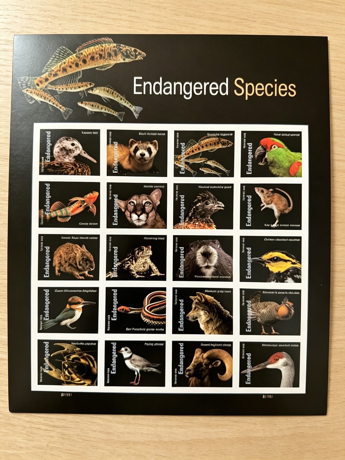 2023 USPS Scott #5799 Endangered Species Pane of (5 sheets) MNH